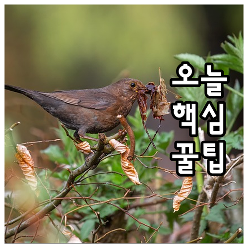 2025 구미시 산후조리비 30만원 ..