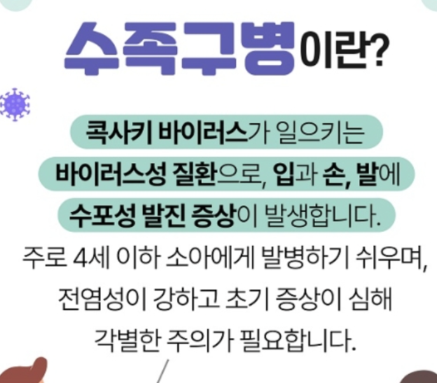 수족구 증상 1