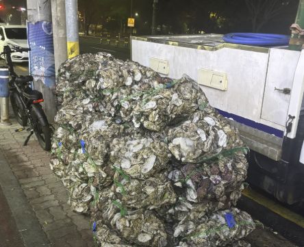 목포 굴찜 무한리필 맛집