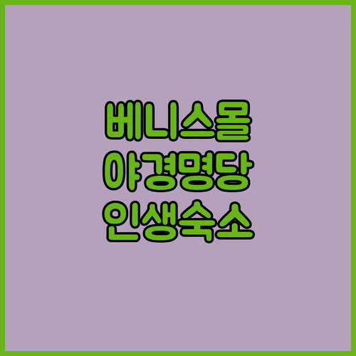 필리핀 마닐라 베니스 몰 야경 스냅 ..