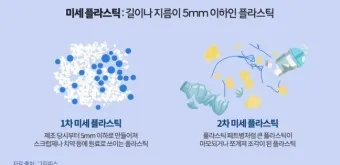 뇌를 잠식하는 미세 플라스틱 보이지 않는 위협_17