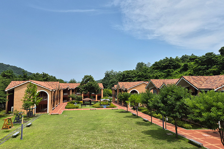 동해 건강무릉숲