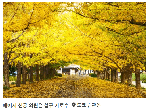 가을2