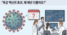 독감 백신 효과, 정말 있는 걸까? 오해와 진실 총정리|2025 최신 정보