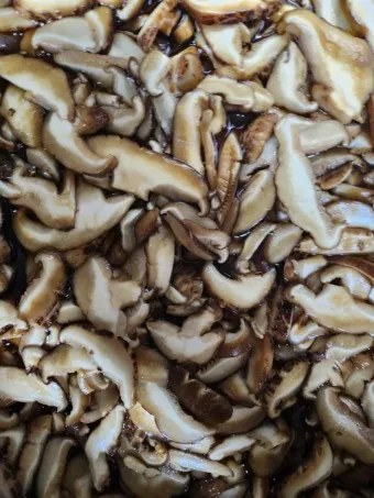 표고버섯 효능_14