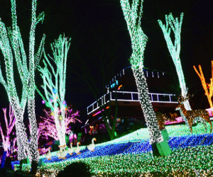 '비오는날' 실내데이트