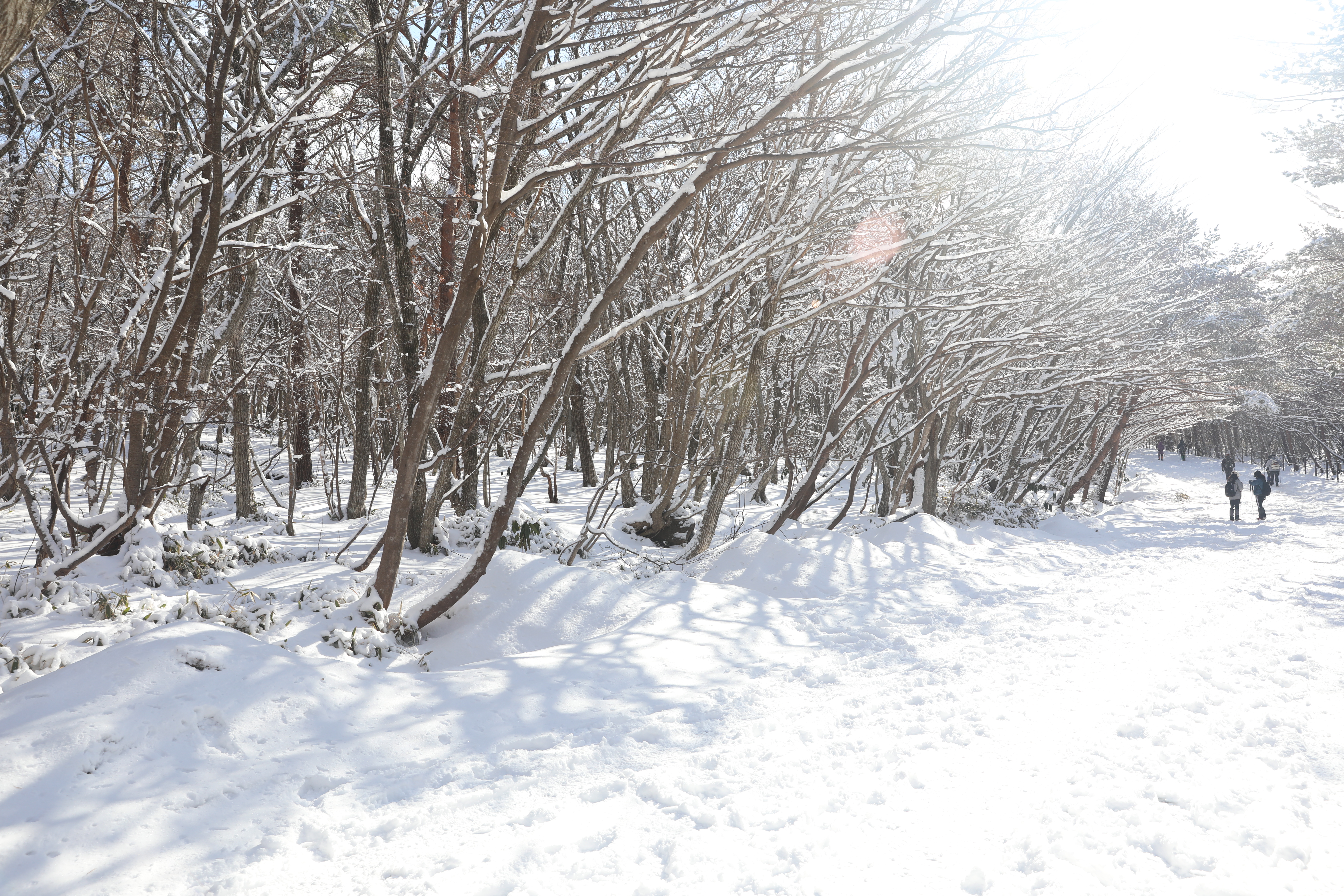 겨울 한라산 영실코스 등산