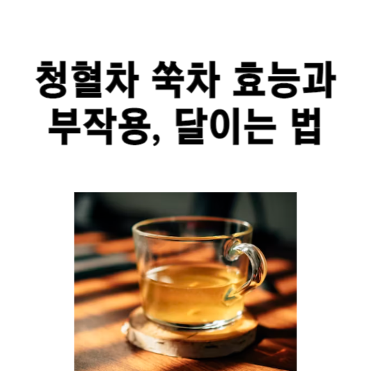 청혈차 쑥차 효능과 부작용, 달이는 법