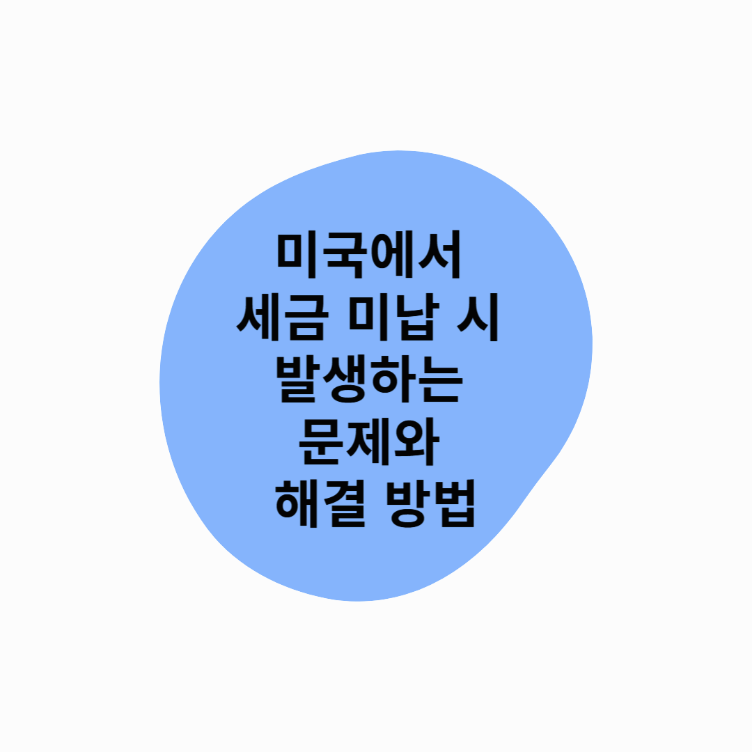 미국에서 세금 미납 시 발생하는 문제와 해결 방법