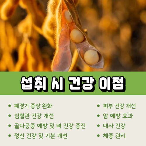 이소플라본
