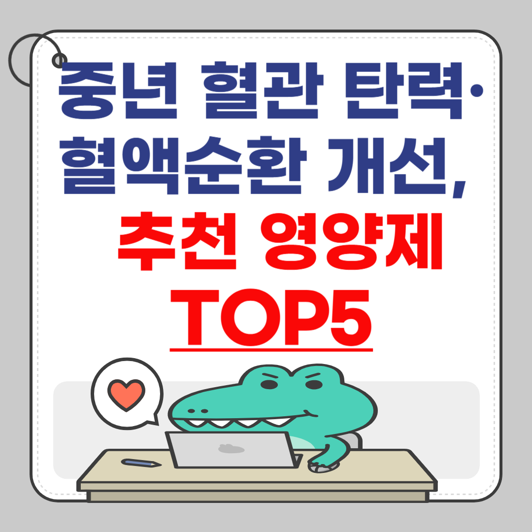 혈관-탄력-혈액-순환-개선-영양제-추천