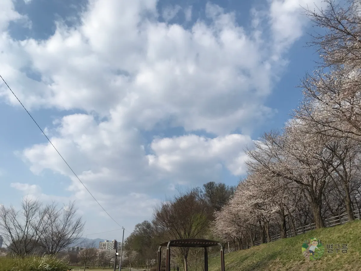 갈산공원-벚꽃-풍경-6