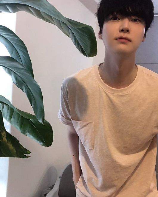 안재현 프로필