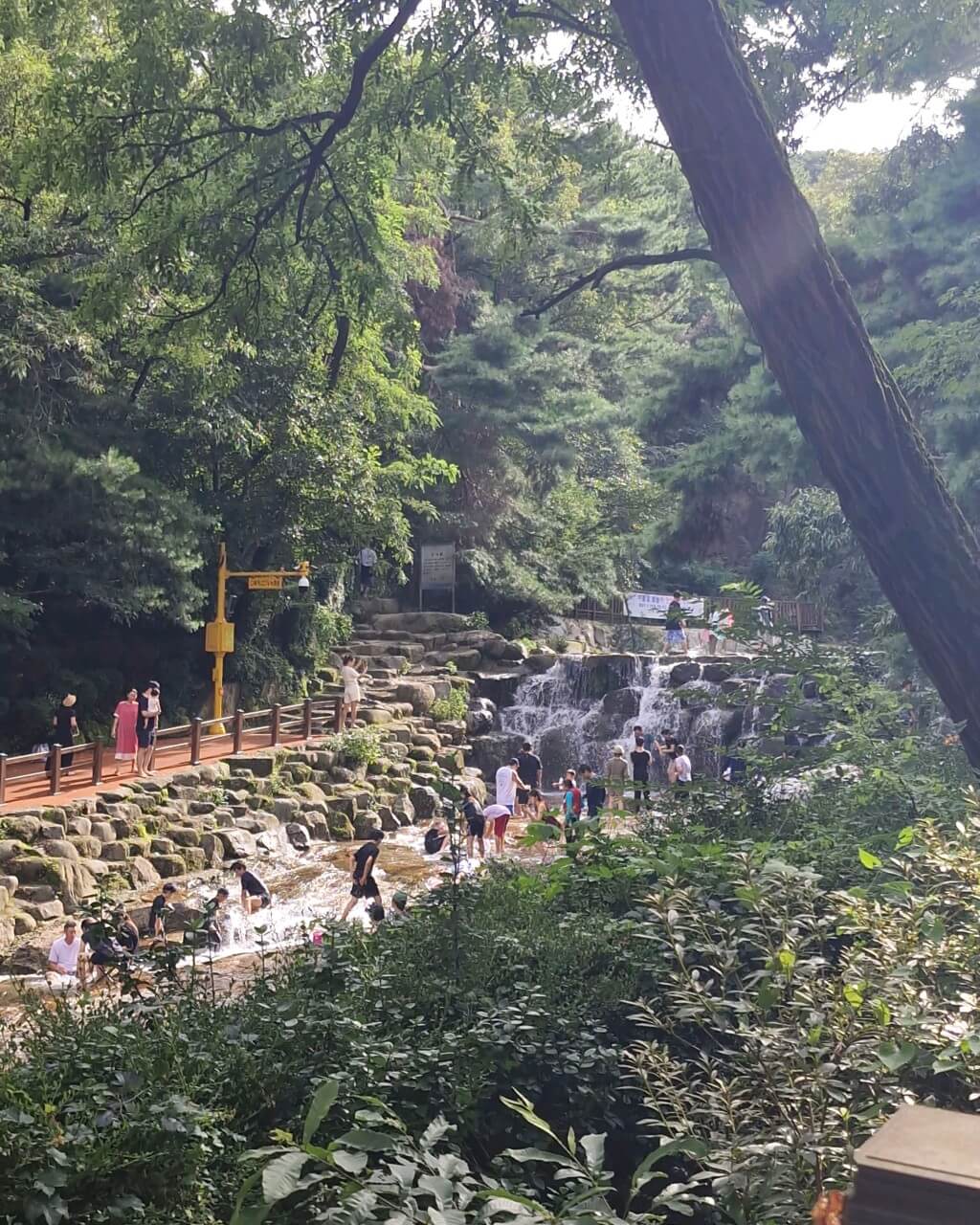 생방송투데이 살아보고서 K-등산&amp;#44; 서울 경기도 과천 관악산 맛집 돌담집 식당&amp;#44; 서울 등산관광센터 관악산점 생방송투데이 3779회