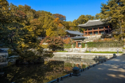 서울-가을-단풍-명소-창덕궁-후원