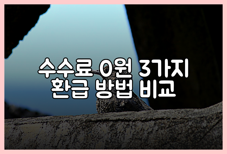 수수료 0원 3가지 환급 방법 비교
