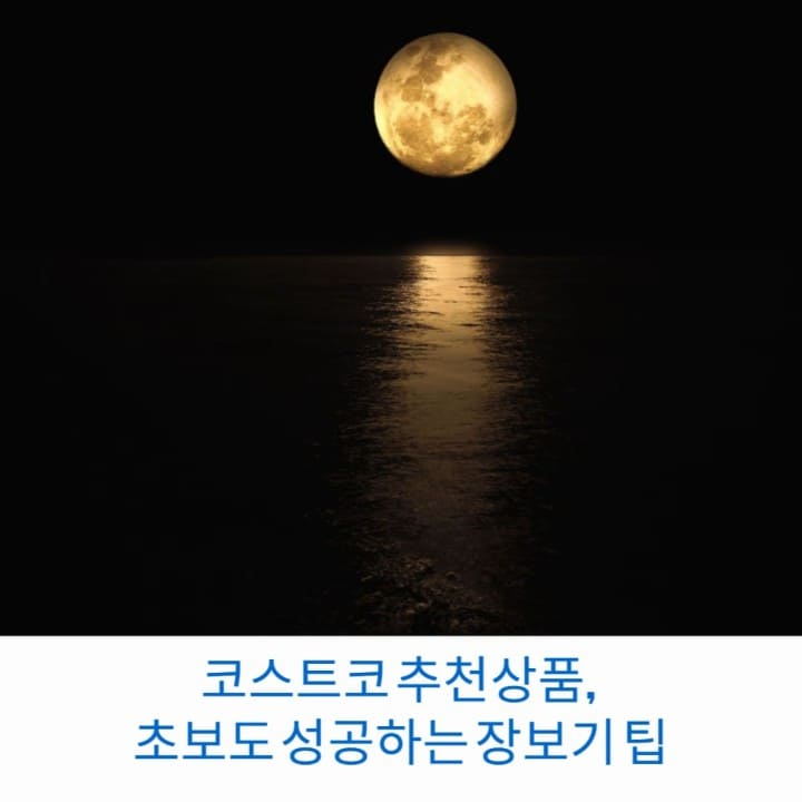 코스트코-추천상품-초보도-성공하는-장보기-팁-썸네일