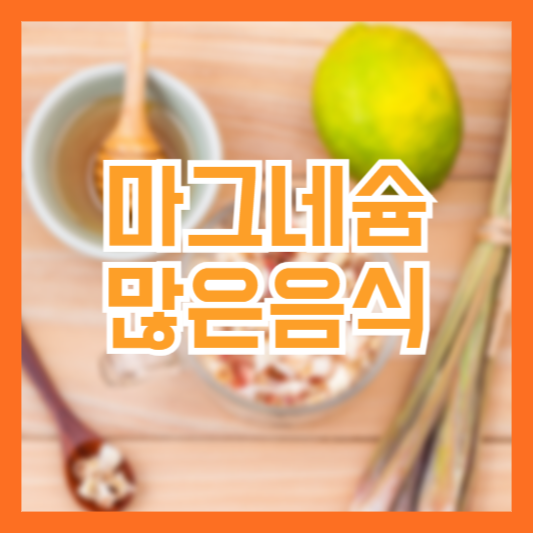 마그네슘 많은 음식 효능 꼭 필요한 영양소 체크!