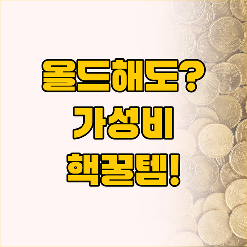 올드하지만 포기할 수 없는 가성비, ..