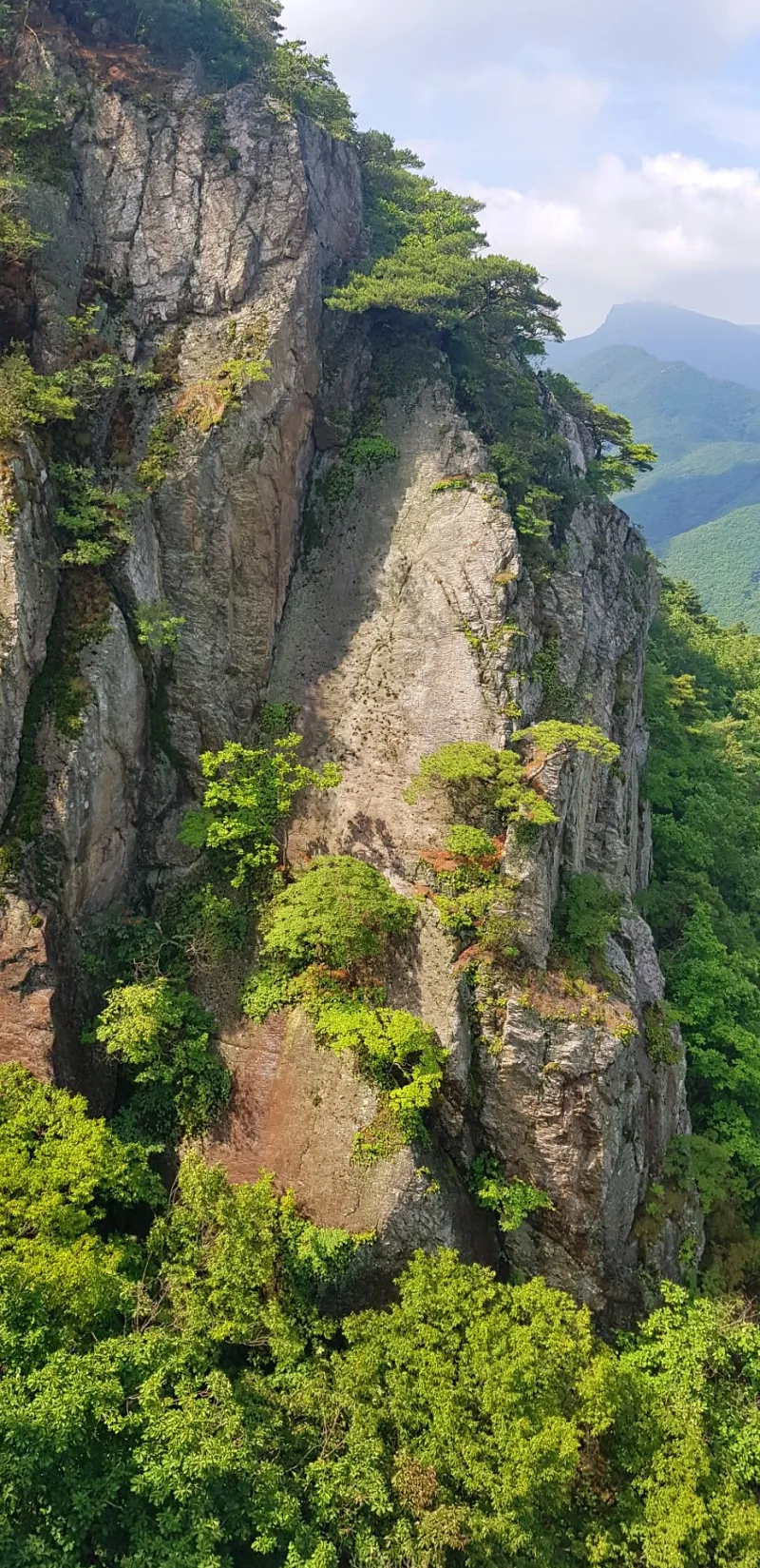 청도 복호산