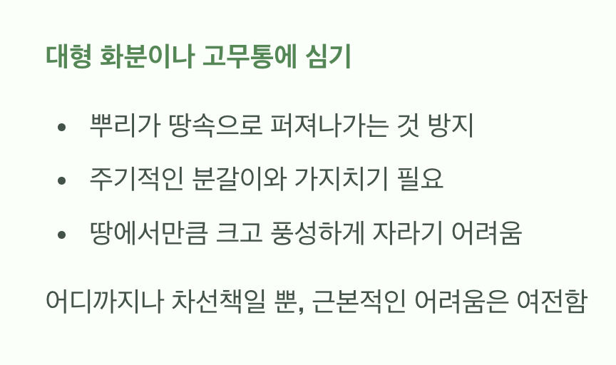 만약 굳이 키워야 한다면