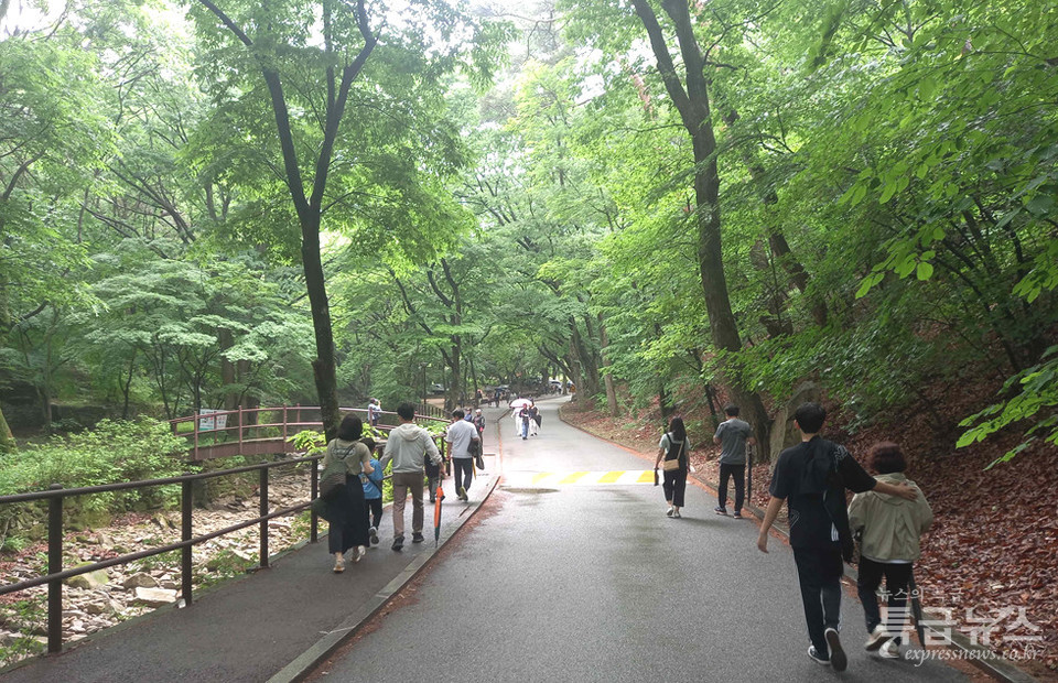 논산 가볼만한곳 베스트 추천 여행 - 계룡산국립공원