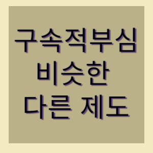 구속적부심