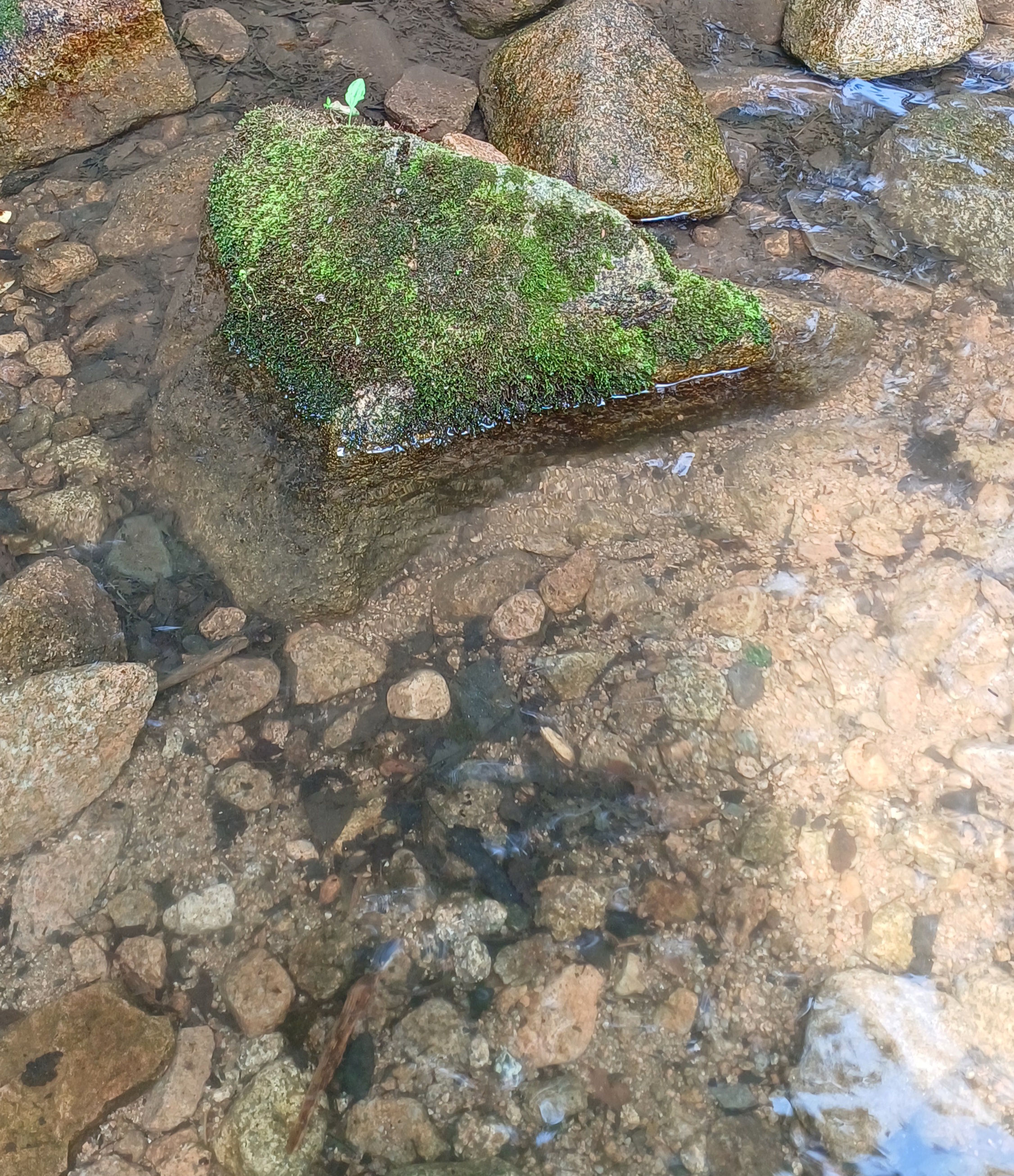 진관사-계곡-물놀이-16