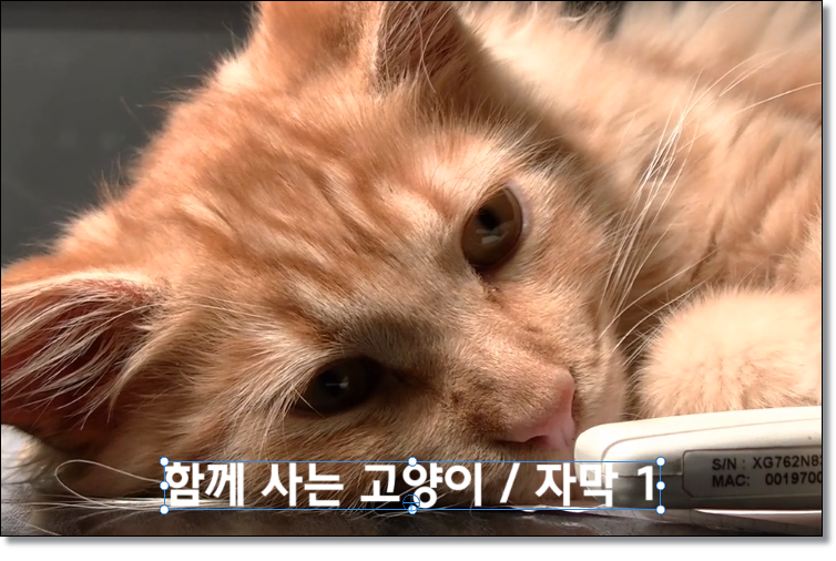 프리미어프로-로고-자막