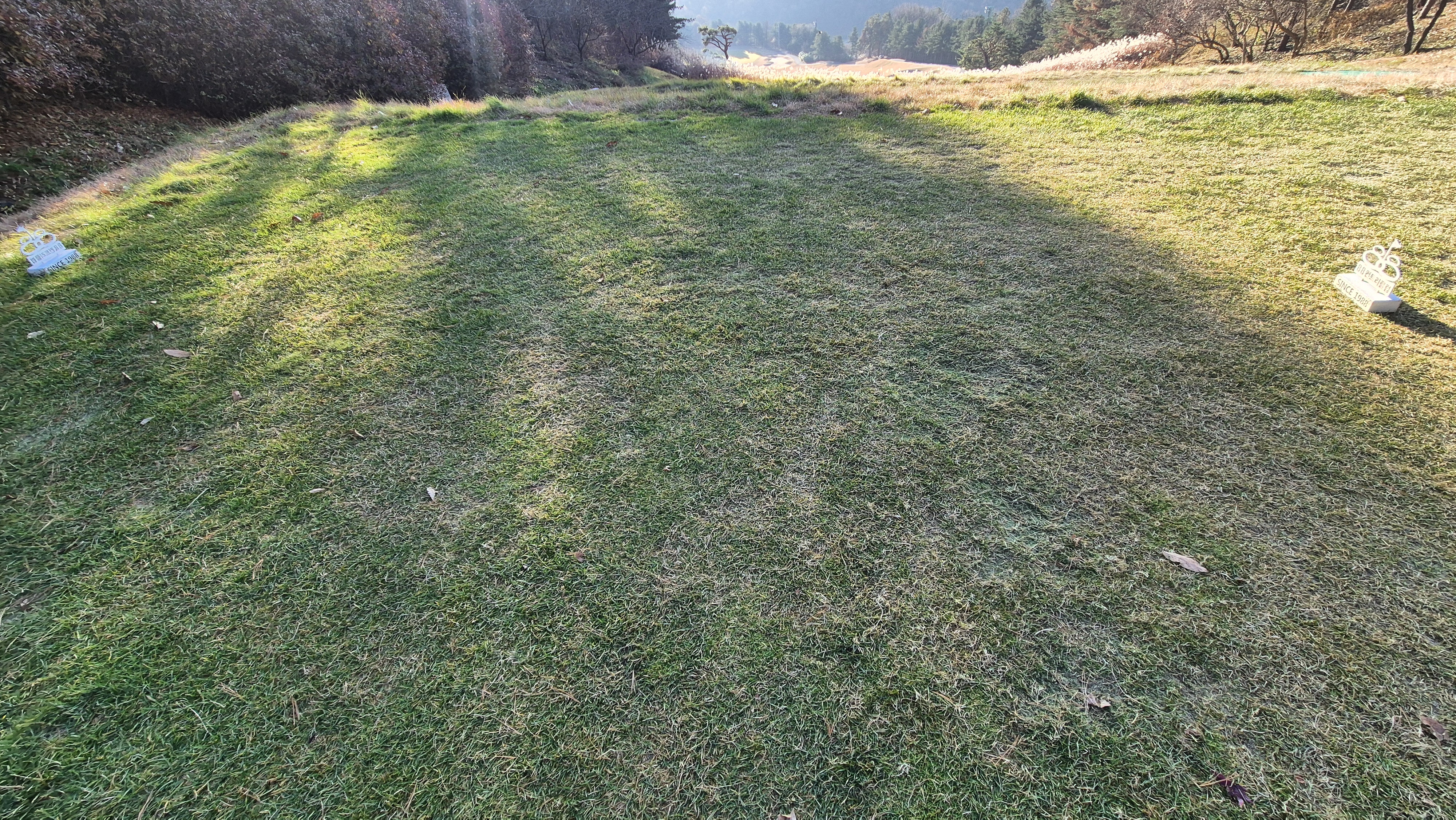 88cc 서코스 라운드 티잉구역상태