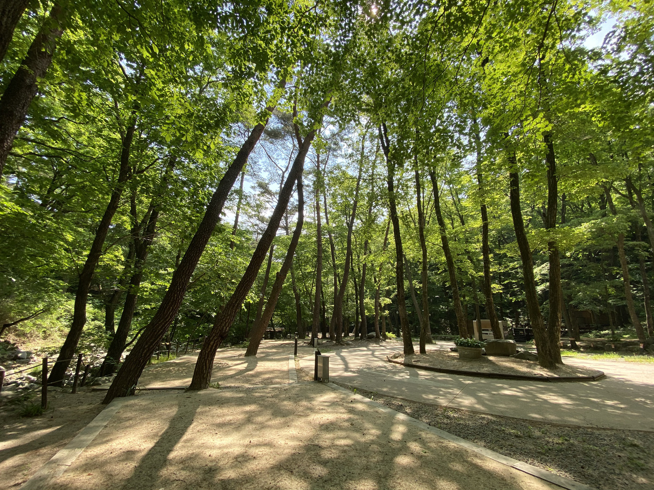 캠핑장 추천