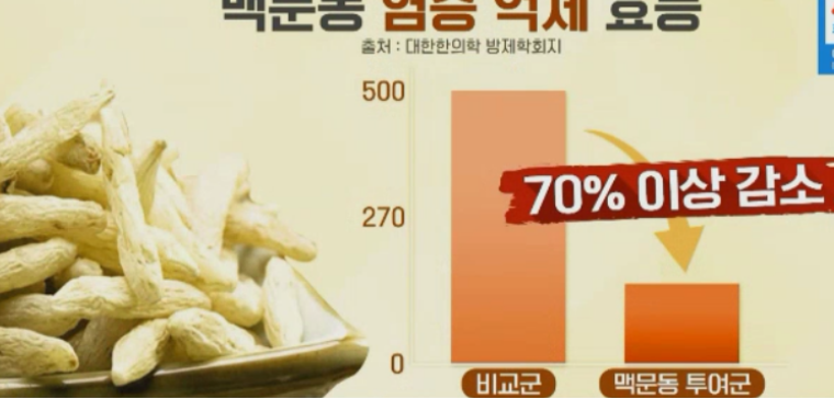 맥문동 효능