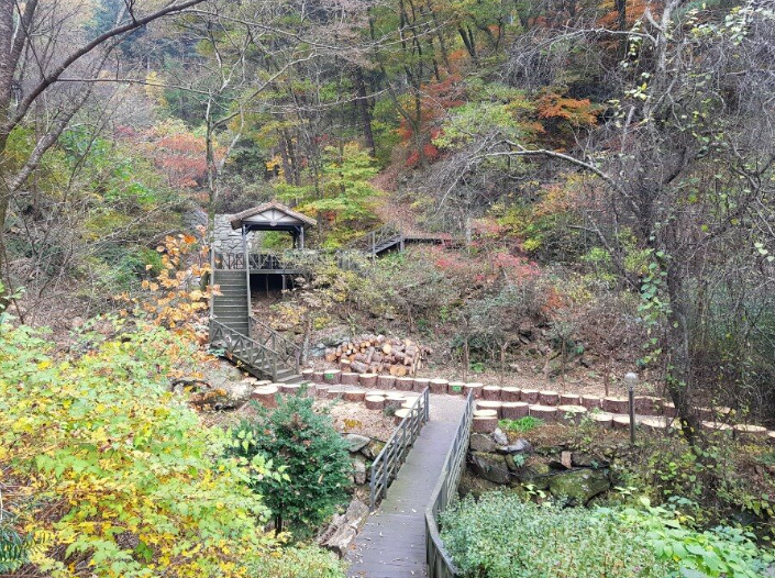숲-산책길-데크길