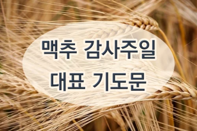 맥추감사주일 대표기도문