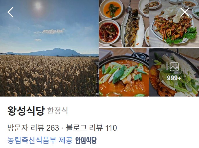 왕성식당 네이버 플레이스