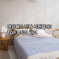 냉감패드 추천 TOP3 및 소재 비교