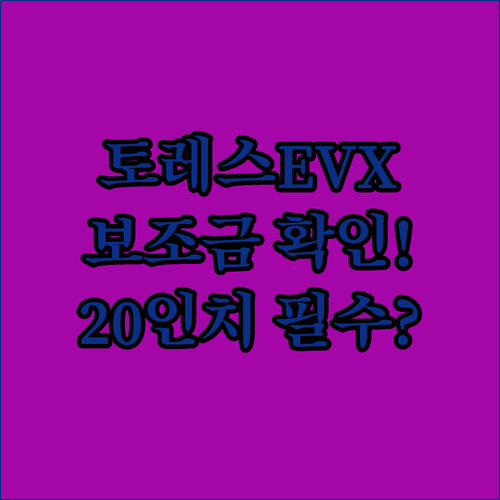 2026년 토레스 EVX 20인치 보..