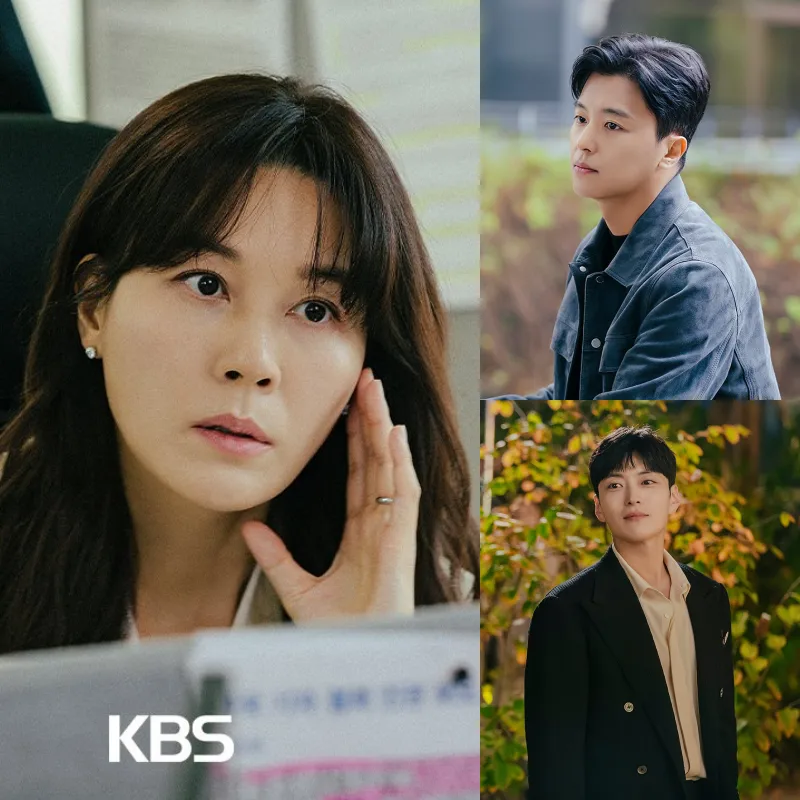 멱살 한번 잡힙시다의 출연진 김하늘, 연우진, 장승조