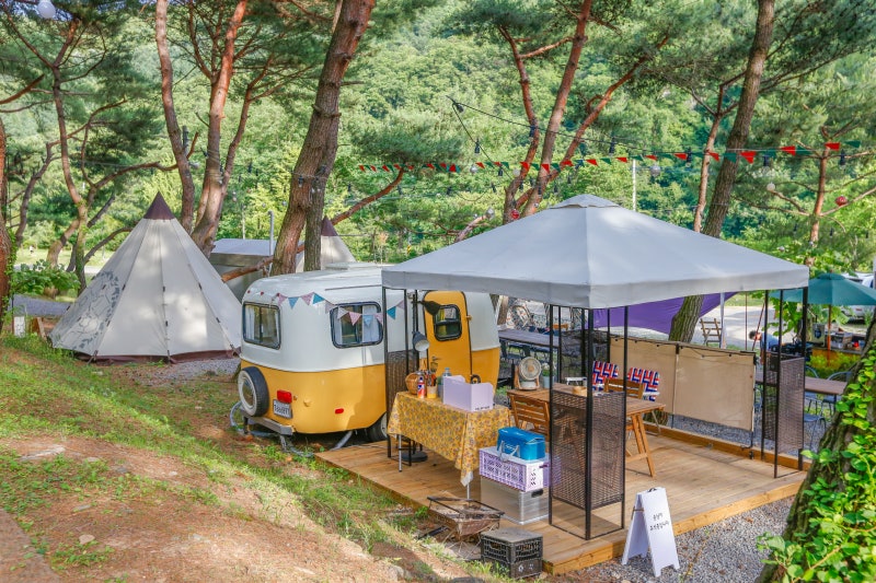 춘천 황금박쥐캠핑장 소개