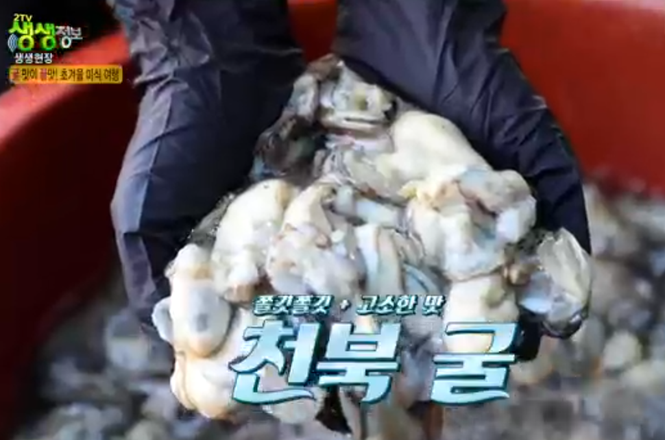 천북굴단지 정보 안내