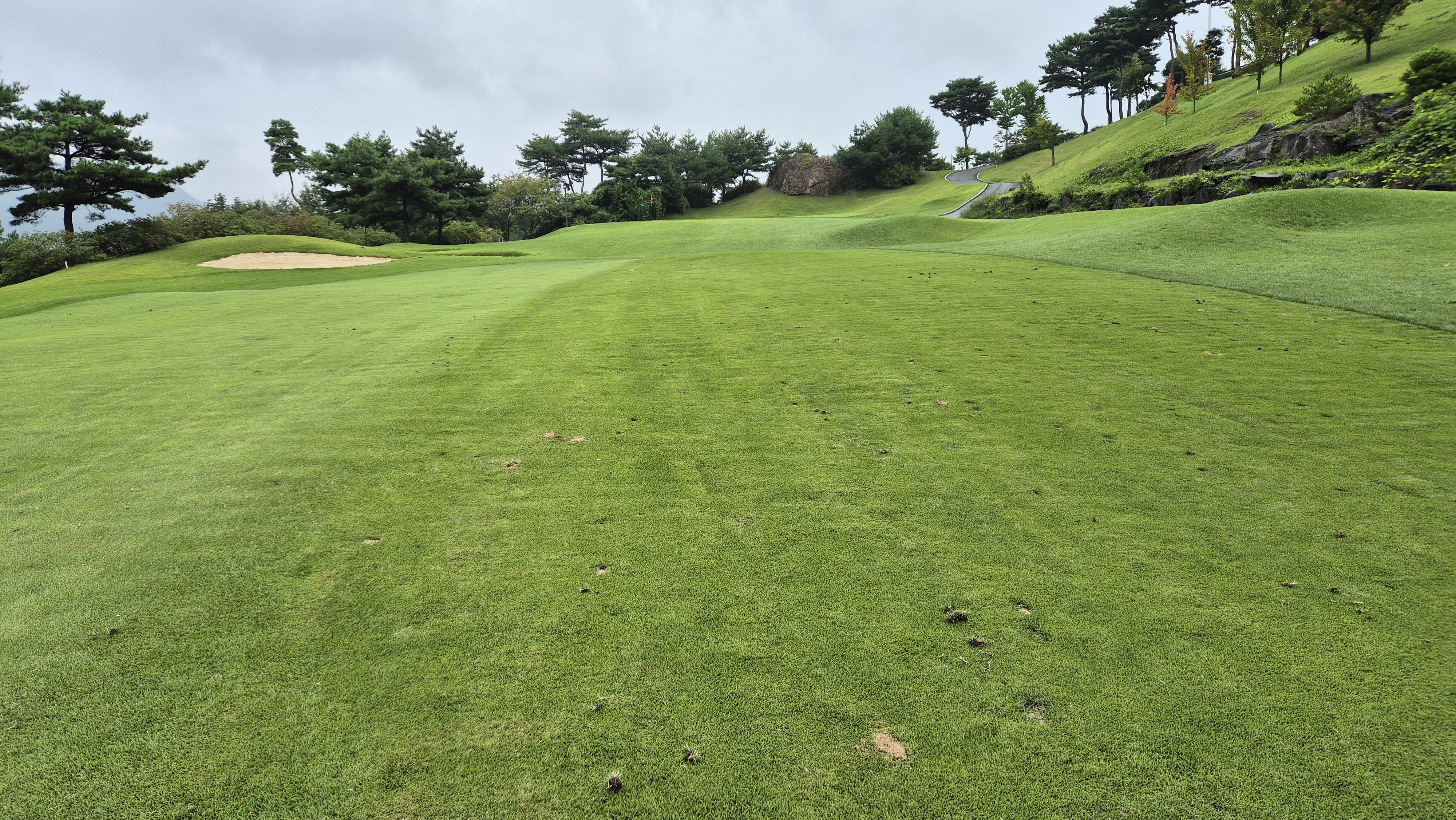 골프존카운티 진천