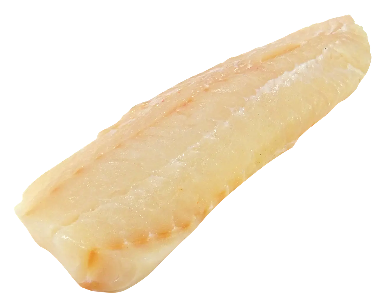 1월 제철 해산물 총정리