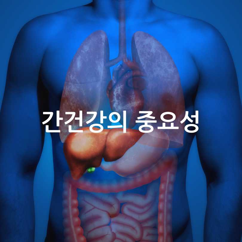 간에좋은영양제