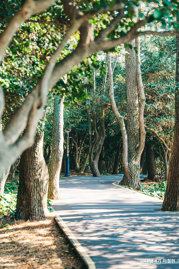 2024 가을 여행지 단풍 명소 추천