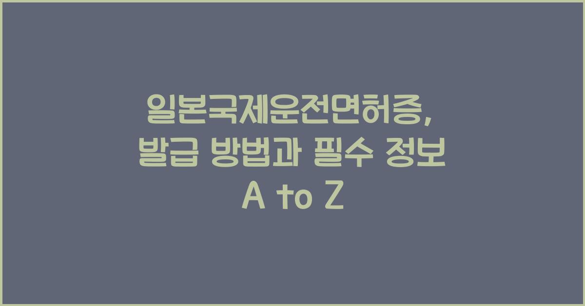 일본국제운전면허증