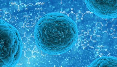 세포외소포체(Extracellular Vesicles, EVs) 기반 치료제 개발 가능성
