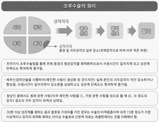 진피이식