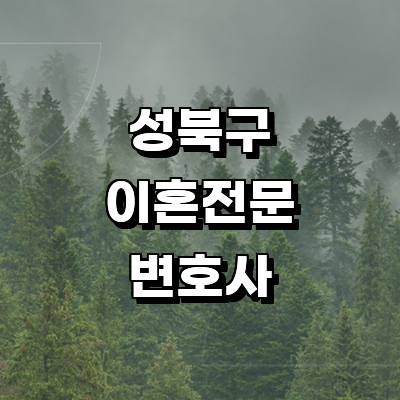 서울 성북구 이혼 변호사