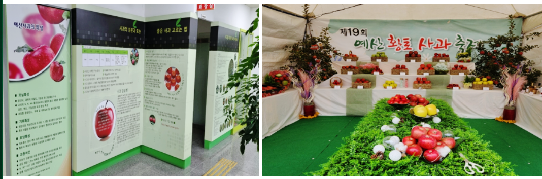 예산 사과 역사관 및 품종 전시장 운영