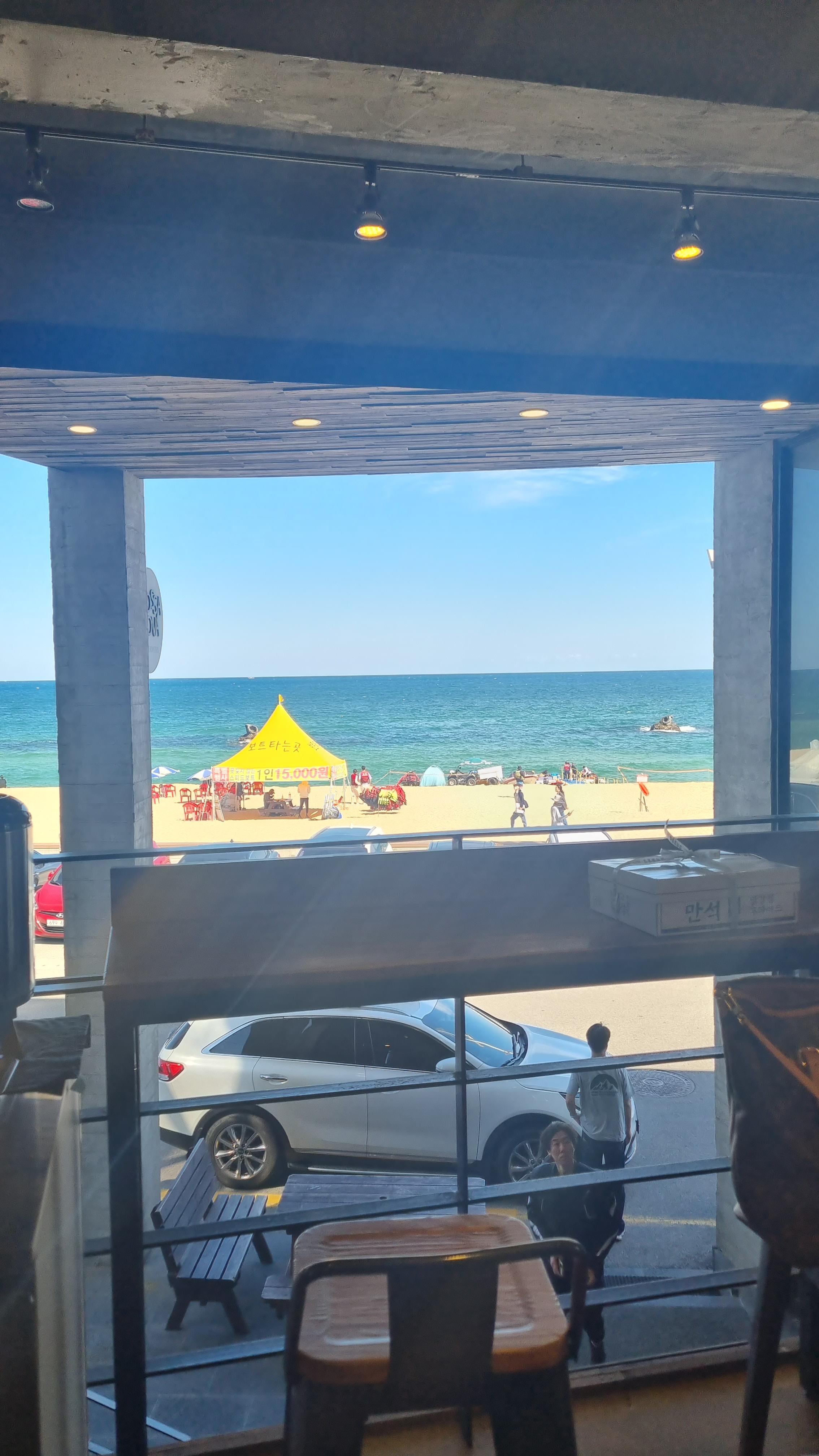 강릉 보사노바 - 카페 거리 카페 추천 애견 카페 안목 해변 가을 여행